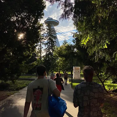 Ostello Urban Elephants *