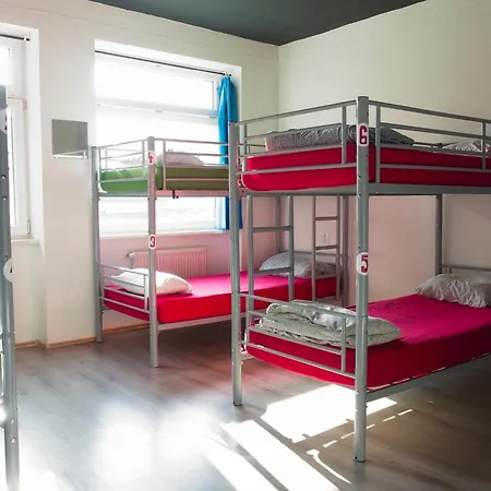 Urban Elephants * Pozsony